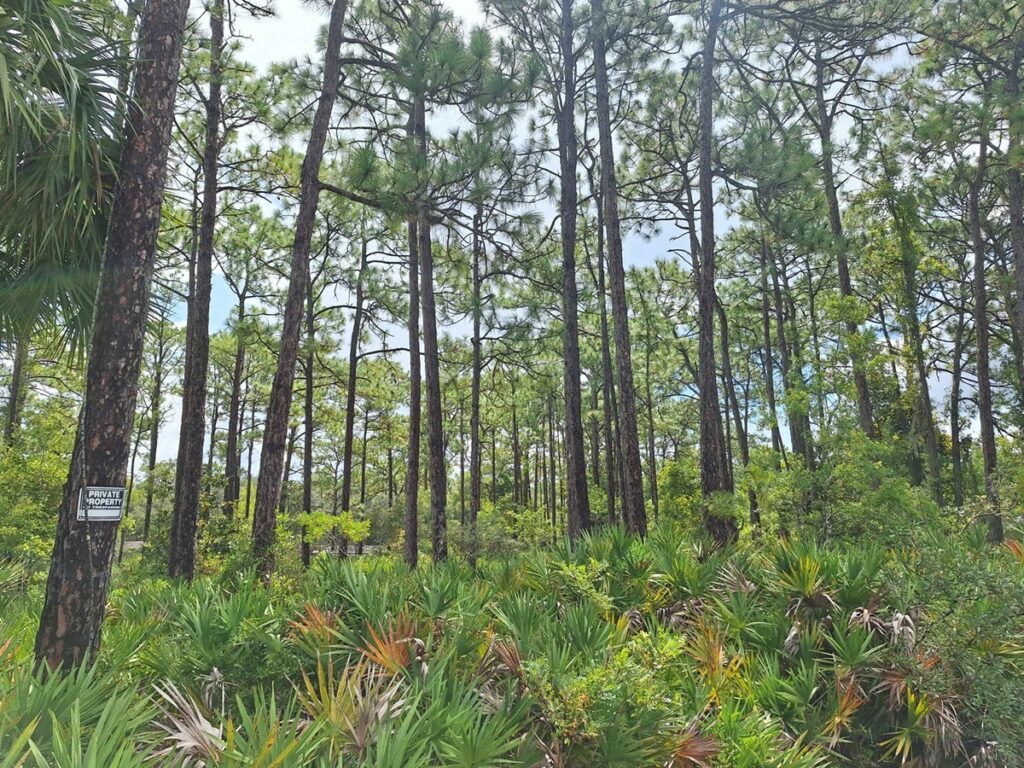 Property photo for land for sale in Citrus County Florida