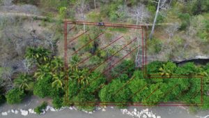 Property photo for land for sale in  County Panama