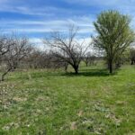 Property photo for land for sale in Brown County Texas