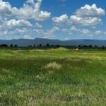 Property photo for land for sale in Rio Arriba County New Mexico