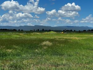 Property photo for land for sale in Rio Arriba County New Mexico