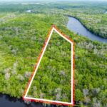 Property photo for land for sale in Dixie County Florida