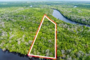 Property photo for land for sale in Dixie County Florida