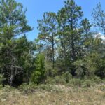 Property photo for land for sale in Washington County Florida