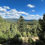 Property photo for land for sale in Rio Arriba County New Mexico