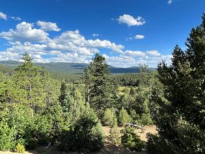 Property photo for land for sale in Rio Arriba County New Mexico