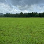 Property photo for land for sale in Cumberland County Kentucky