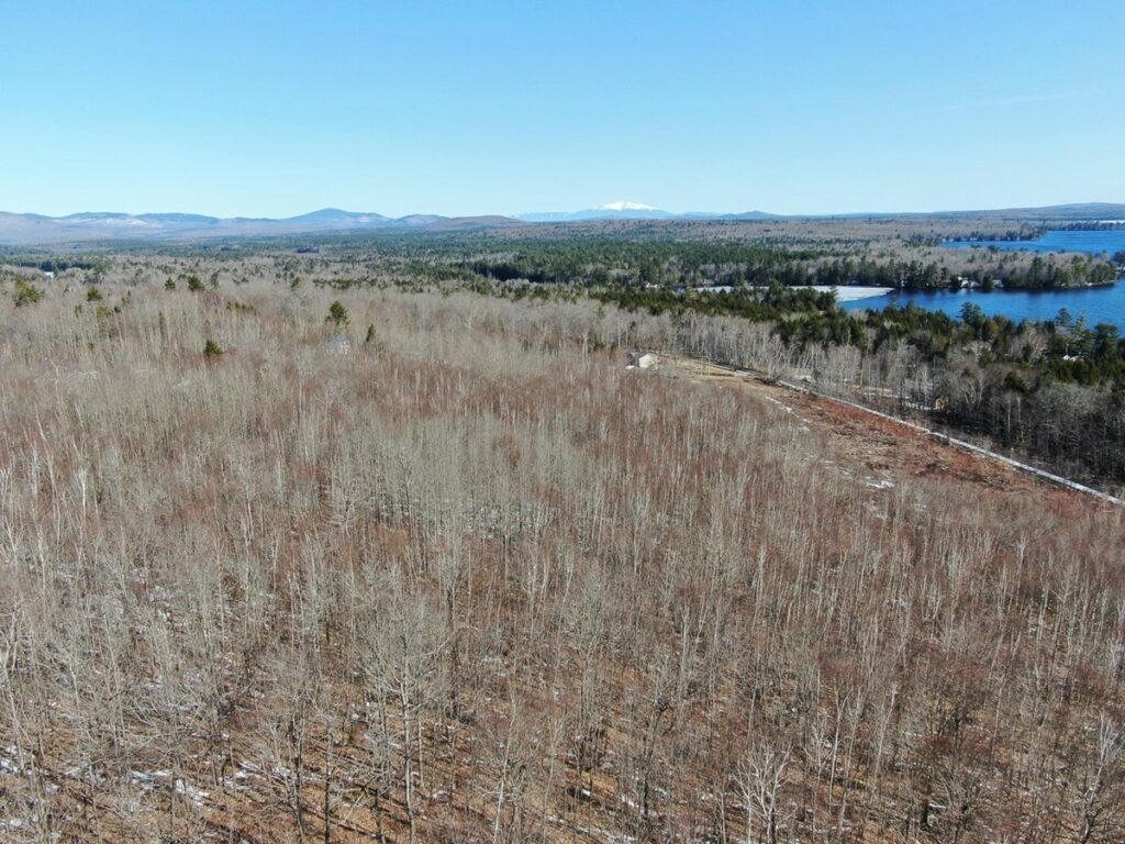 Property photo for land for sale in Piscataquis County Maine