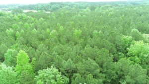 Property photo for land for sale in Fairfield County South Carolina