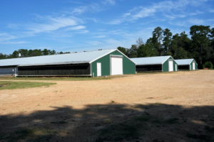 Property photo for land for sale in Pike County Mississippi