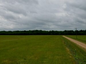 Property photo for land for sale in Franklin County Louisiana