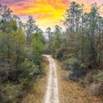 Property photo for land for sale in Madison County Florida