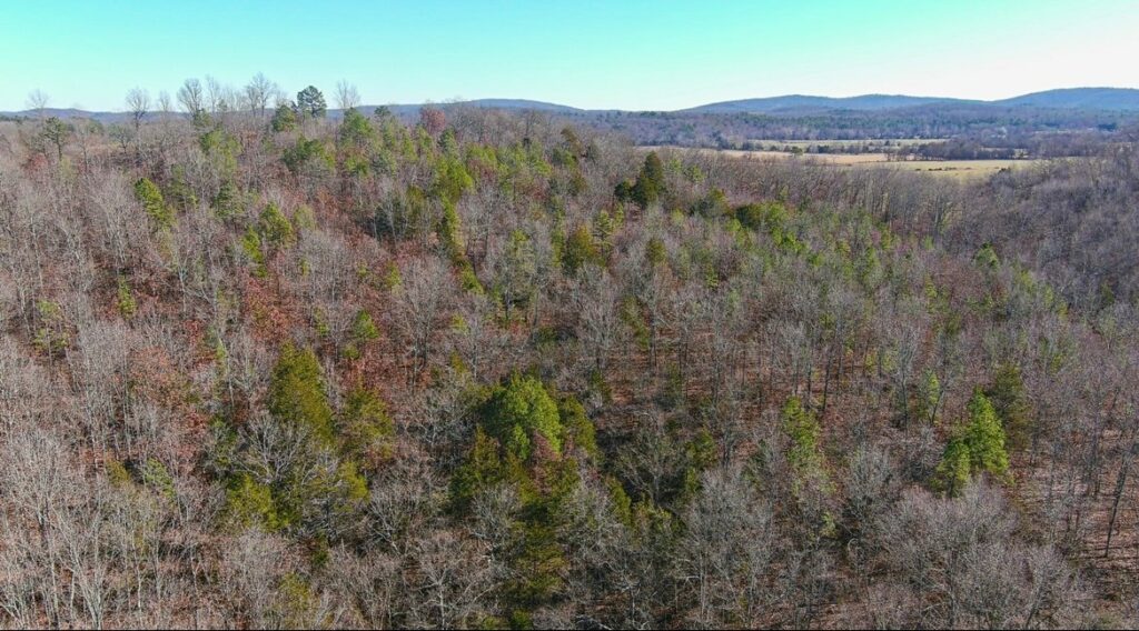 Property photo for land for sale in Shannon County Missouri