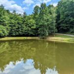 Property photo for land for sale in Floyd County Virginia