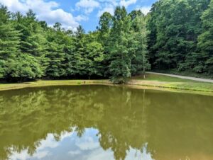 Property photo for land for sale in Floyd County Virginia