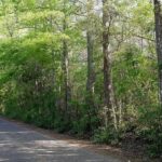 Property photo for land for sale in Lincoln County Mississippi