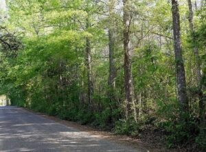 Property photo for land for sale in Lincoln County Mississippi