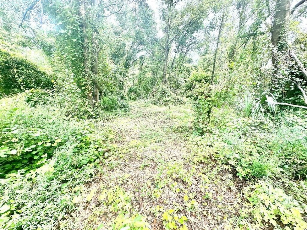 Property photo for land for sale in Lafayette County Florida