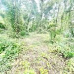 Property photo for land for sale in Lafayette County Florida