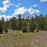 Property photo for land for sale in Larimer County Colorado