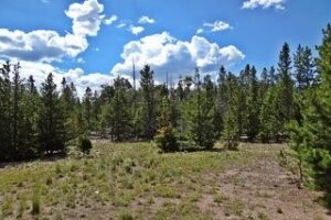 Property photo for land for sale in Larimer County Colorado