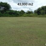 Property photo for land for sale in  County Panama