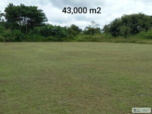 Property photo for land for sale in  County Panama