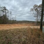 Property photo for land for sale in Choctaw County Mississippi