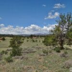 Property photo for land for sale in Larimer County Colorado