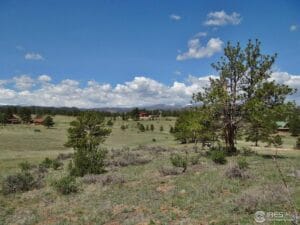 Property photo for land for sale in Larimer County Colorado