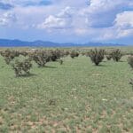 Property photo for land for sale in Santa Fe County New Mexico