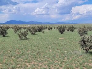 Property photo for land for sale in Santa Fe County New Mexico