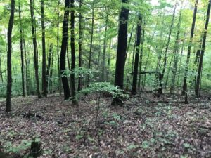 Property photo for land for sale in Hancock County Tennessee