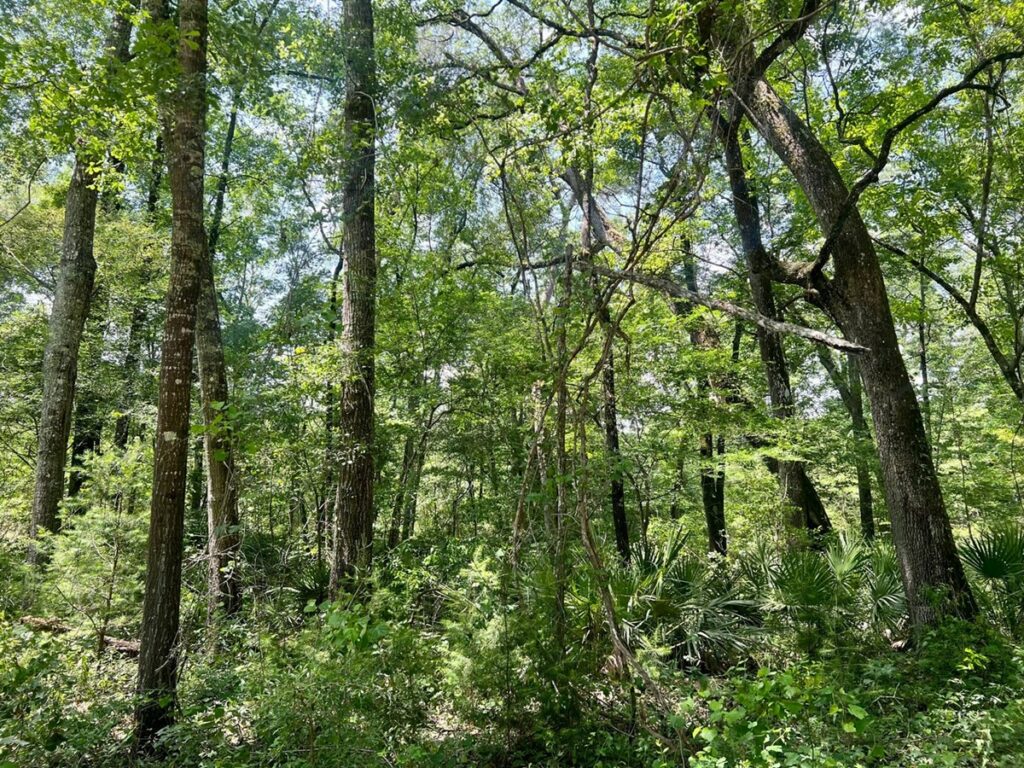 Property photo for land for sale in Suwannee County Florida