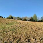 Property photo for land for sale in Van Buren County Tennessee