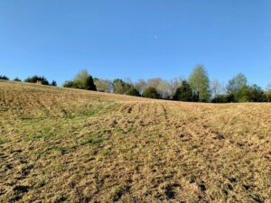 Property photo for land for sale in Van Buren County Tennessee