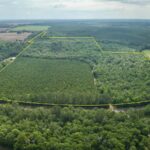 Property photo for land for sale in Holmes County Florida