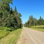 Property photo for land for sale in Aroostook County Maine