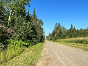 Property photo for land for sale in Aroostook County Maine