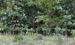 Property photo for land for sale in Sharp County Arkansas