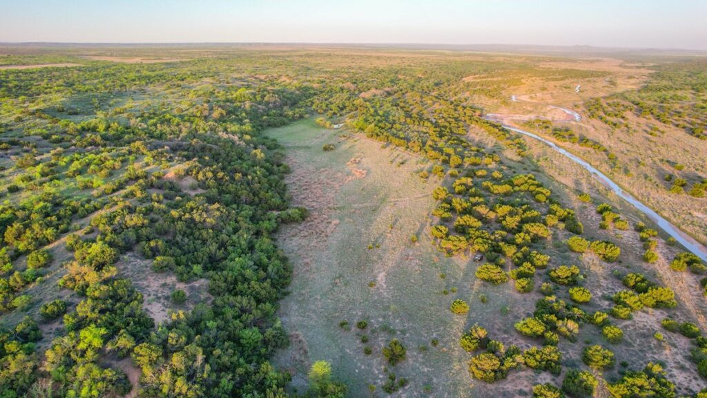 Property photo for land for sale in Motley County Texas