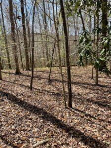 Property photo for land for sale in Butler County Alabama