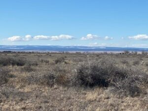 Property photo for land for sale in Torrance County New Mexico