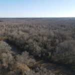 Property photo for land for sale in Grant County Arkansas