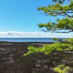 Property photo for land for sale in Carteret County North Carolina