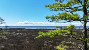 Property photo for land for sale in Carteret County North Carolina