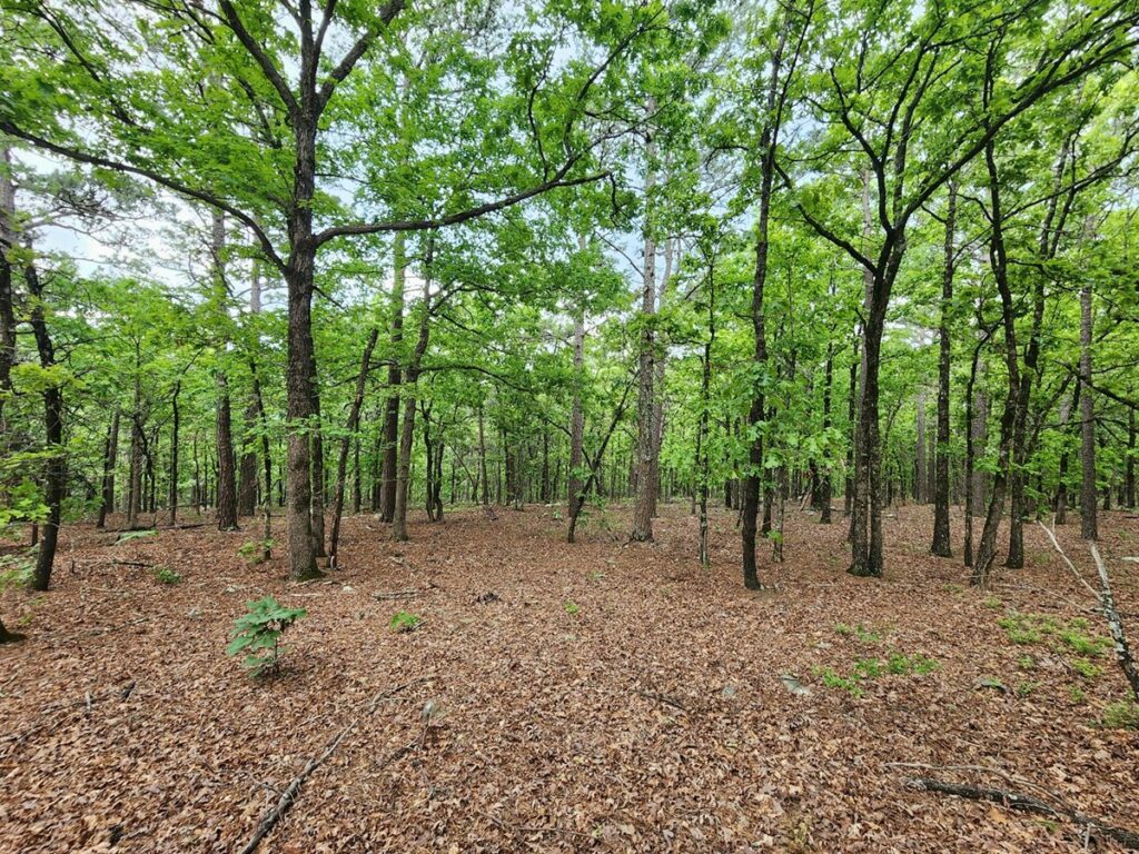 Property photo for land for sale in Latimer County Oklahoma