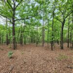 Property photo for land for sale in Latimer County Oklahoma