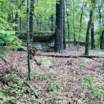 Property photo for land for sale in Baxter County Arkansas