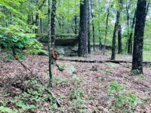 Property photo for land for sale in Baxter County Arkansas